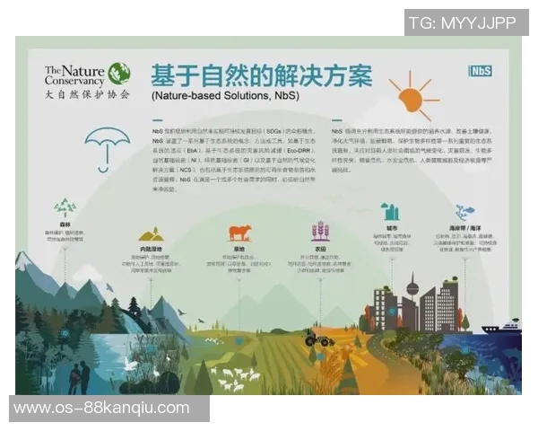 成都攀岩队的战术创新与转换体系探讨与实践分析 成都攀岩队的战术创新与转换体系探讨与实践分析